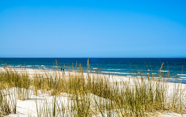 Beautiful sea landscape. Sandy beach and grass sand dune, Leba, Baltic Sea, Poland