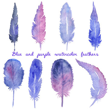Set of watercolor hand drawn feathers