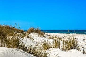 Beautiful beach sea landscape. Sandy beach and grass sand dune, Leba, Baltic Sea, Poland