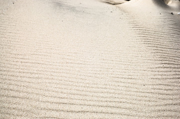Wet sand texture, sandy beach for background, top view