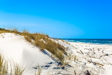 Beautiful sea landscape. Sandy beach and grass sand dune, Leba, Baltic Sea, Poland