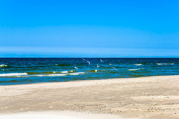 Landscape of sea and sandy beach under clear blue sky
