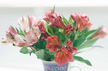 Bouquet of alstroemeria in a coffee cup