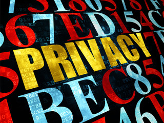 Privacy concept: Privacy on Digital background