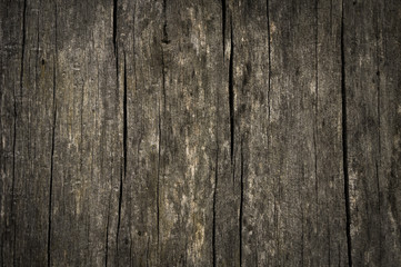 Fototapeta premium Hintergrund verwittertes Holz Highlight