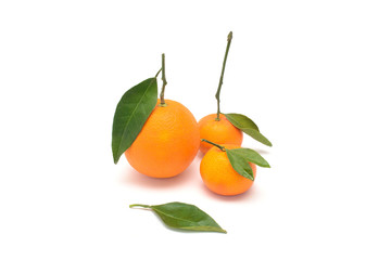 Orange and tangerine with leaves