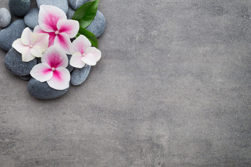 Obraz na płótnie Canvas Close up view of spa theme objects on grey background.