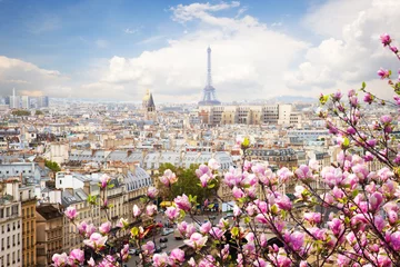 Foto auf Glas Skyline von Paris mit Eiffelturm © neirfy