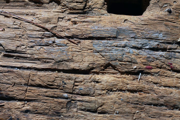 Фон дерева © heshixin