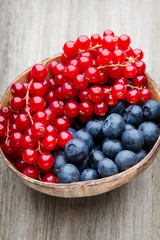Fresh blueberries and red currant.