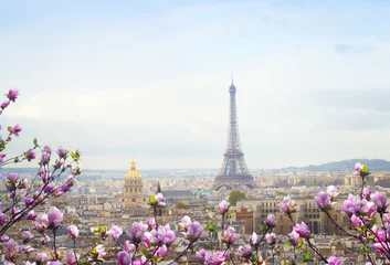 Photo sur Aluminium Tour Eiffel Horizon de Paris avec la tour eiffel
