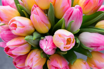 Obraz na płótnie Canvas Tulip, flowers on the grey background.