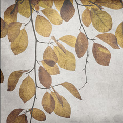 textured old paper background with colorful autumn leaf