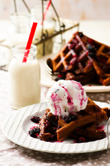  chocolate waffle with ice cream and berry sauce