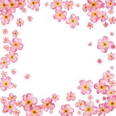 Fototapeta premium Abstract background with beautiful pink cherry blossom.