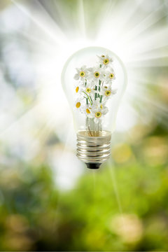  flowers in a light bulb on a green background