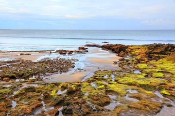 Tenerife nature - Medano beach