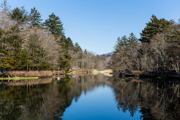 Pond in karuizawa
