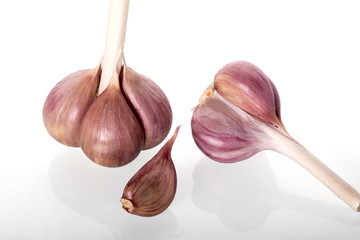 Garlic isolated on white background