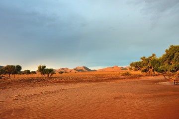 Namib desert landscape, Namibia