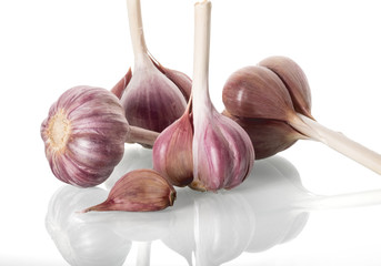 Garlic isolated on white background