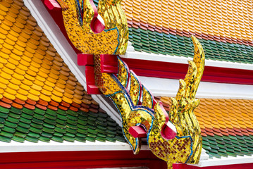 tejado dragon