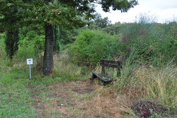 Toskania © sorensen15