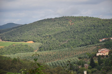 Fototapeta premium Toskania