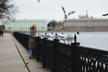 girl feeding seagulls on the waterfront in the spring