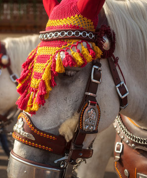 Geschm&uuml;ckter Pferd