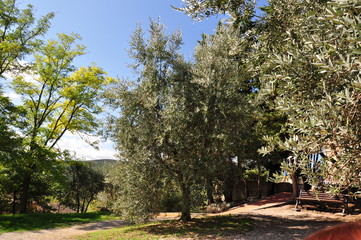 Toskania © sorensen15