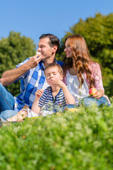 Naklejka na ściany i meble Family having picnic sitting in grass on meadow