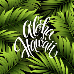 Summer tropical background of palm leaves. Tropical palm leaves. Tropical summer design. Background for summer design. Summer background of palm leaves