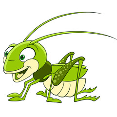 cute and funny smiling cartoon grasshopper (locust, katydid), isolated on a white background