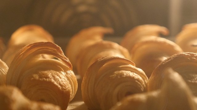Basic dough rolls baking in the oven 4K 2160p UltraHD footage - Homemade rolls slow baking and releasing fats in the oven 4K 3840X2160 UHD video 