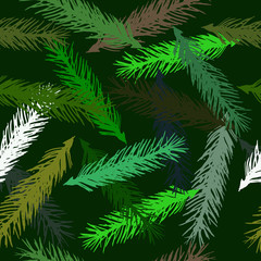 spruce branches on a green background