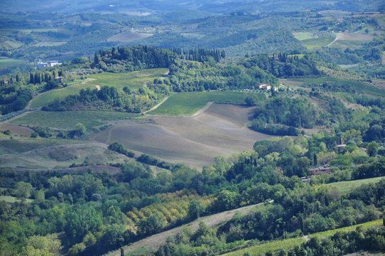 Fototapeta Toskania