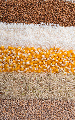 Collection Set of Cereal Grains