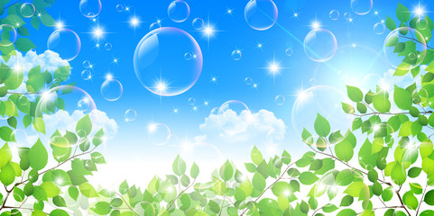 葉　新緑　木　背景