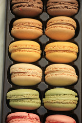 Macarons in pastel colors