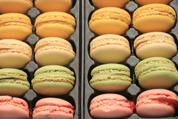 Macarons in pastel colors