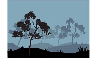 Silhouette tree on the hill