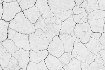 White soil drought cracked texture