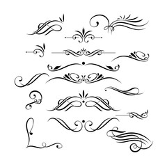 Vector set of elegant curls and swirls. Elements for design - obrazy, fototapety, plakaty
