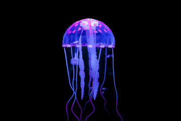 Jellyfish - obrazy, fototapety, plakaty