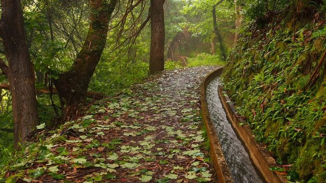 Levada Serra do Faial going from Ribeiro Frio to Portela on Madeira Island, Portugal
