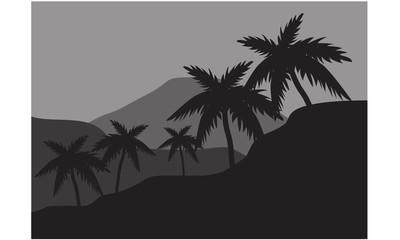 Silhouette of palm on the hills