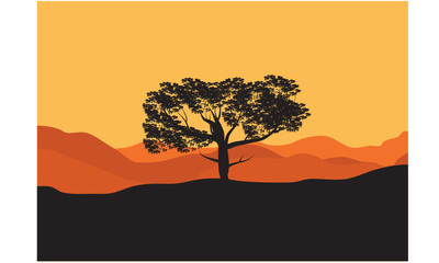 Silhouettes of trees in the desert