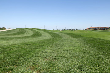 The golf course landscape
