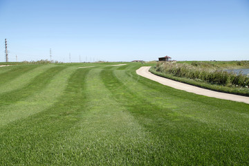 The golf course landscape